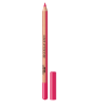 ARTIST COLOR PENCIL