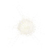 STAR LIT DIAMOND POWDER 1