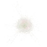 STAR LIT DIAMOND POWDER 1