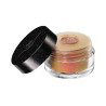 STAR LIT DIAMOND POWDER 1