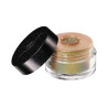 STAR LIT DIAMOND POWDER 1