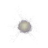 STAR LIT POWDER