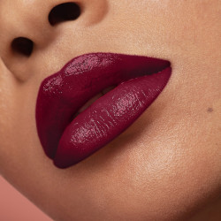 ROUGE ARTIST SHINE ON
