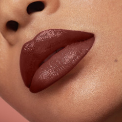 ROUGE ARTIST SHINE ON