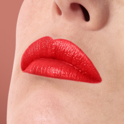 ROUGE ARTIST SHINE ON