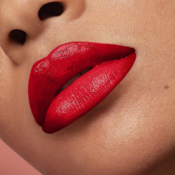 ROUGE ARTIST SHINE ON
