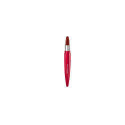 ROUGE ARTIST SHINE ON