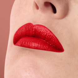 ROUGE ARTIST SHINE ON