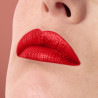 ROUGE ARTIST SHINE ON
