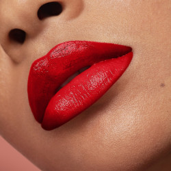 ROUGE ARTIST SHINE ON