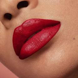 ROUGE ARTIST SHINE ON