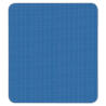 ARTIST BLAST