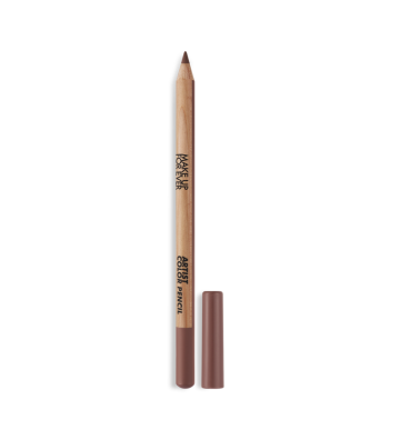 ARTIST COLOR PENCIL