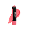 ARTIST COLOR CRAYON