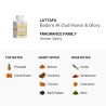 Lattafa Bade'e Al Oud - Honor & GloryEau De Parfum 100ml Unisex