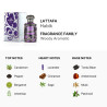 Lattafa Habik For Men Eau De Parfum 100ml Men Fragrance
